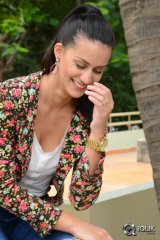 Larissa Bonesi At Thikka Movie Press Meet